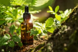 cosmetic container with pipette are located - Does Tea Tree Oil Help With Acne? 