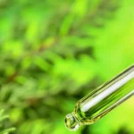 enhance skin health with beauty collagen facial - Does Tea Tree Oil Help With Acne?
