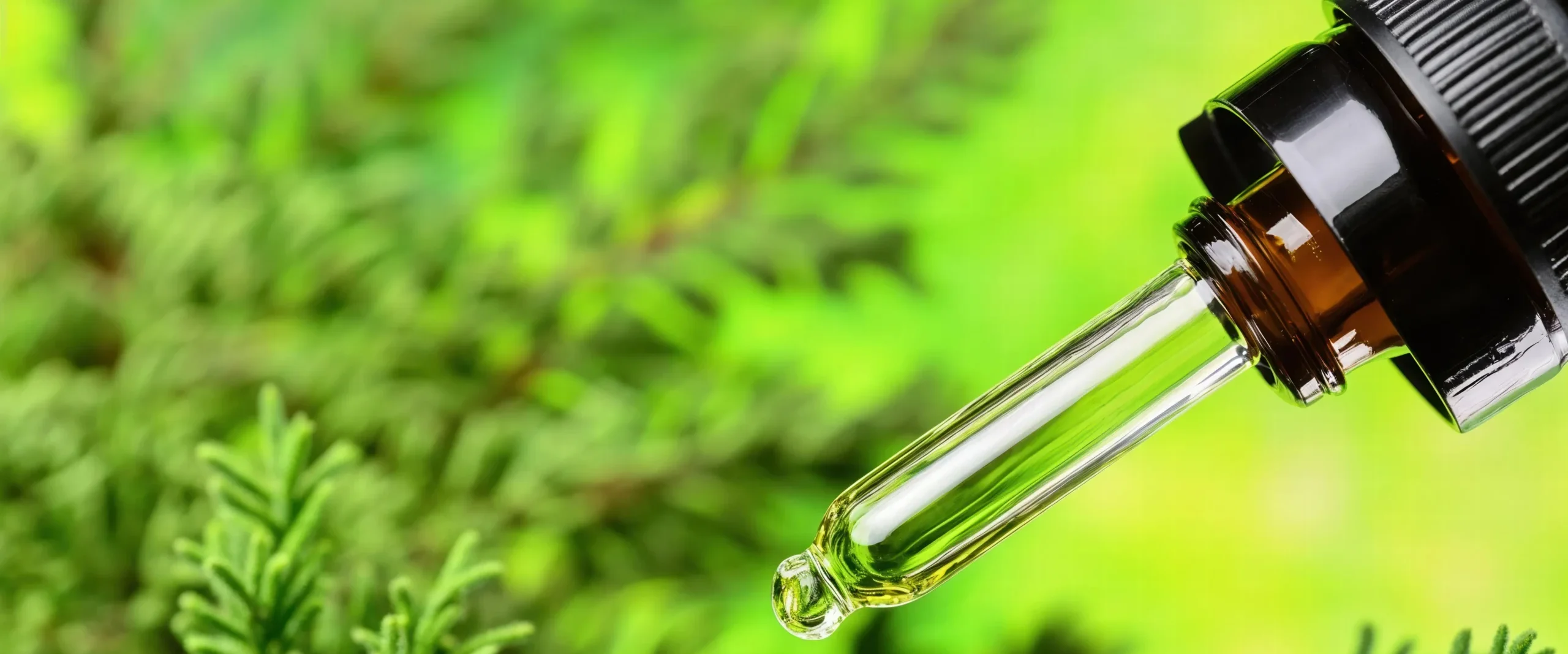 enhance skin health with beauty collagen facial - Does Tea Tree Oil Help With Acne?