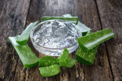aleo vera gel with freshly cut leaves - Does Aloe Vera Help Eczema? Complete Guide to Benefits, Uses & Risks - Dermatology Group