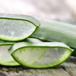 aloe vera use in spa for skin care - Does Aloe Vera Help Eczema? Complete Guide to Benefits, Uses & Risks - Dermatology Group